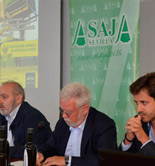 Asaja-Sevilla prevé que la cosecha de aceituna de mesa se reduzca un 15,5% esta campaña