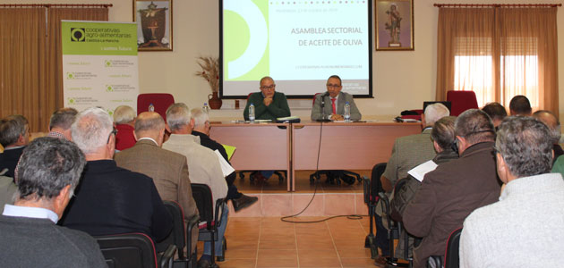 Cooperativas Agro-alimentarias prevé un descenso del 60% en la producción de aceite de oliva en Castilla-La Mancha