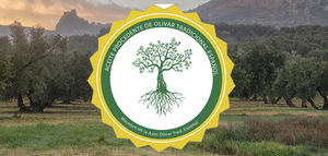 El olivar tradicional ante el reto de la supervivencia económica