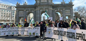 Olivareros se manifiestan en Madrid en defensa del sector primario tradicional