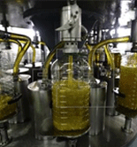 Almazara As Pontis inicia su expansión al mercado japonés  