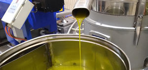 Actividades formativas en torno al olivar y al aceite de oliva en Australia