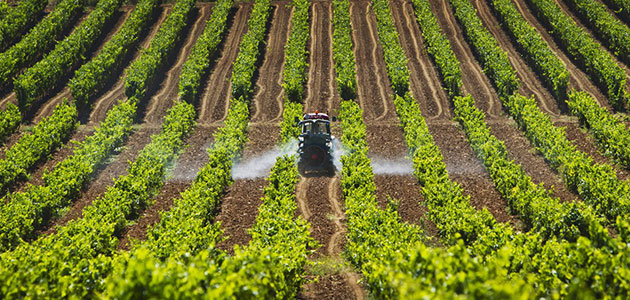 El MAPA realiza un segundo pago de 5,1 millones de euros de la ayuda por la subida de los fertilizantes