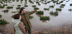Andalucía solicitará la declaración de catástrofe natural para poder prestar atención inmediata a los agricultores