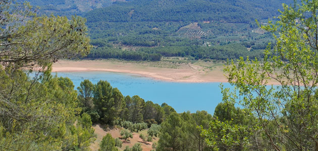 El Gobierno aprueba ayudas directas por más de 636 millones de euros para apoyar a los agricultores frente a la sequía