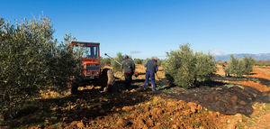 Comienza el plazo para solicitar las ayudas de la PAC para 2026