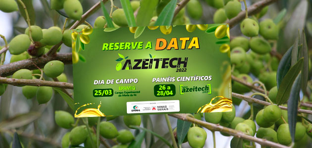 Brasil debatirá sobre la cadena olivícola nacional