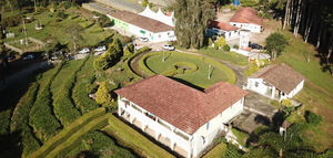 El uso de drones en olivicultura, entre las novedades de Azeitech 2026