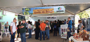 Azeitech difunde el conocimiento y la innovación en el cultivo del olivar en Brasil