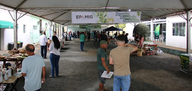 Azeitech 2026 debate la innovación y el fortalecimiento de la olivicultura en Brasil