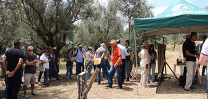 Azeitech 2026 calienta motores: innovación y tendencias en el cultivo del olivo en Brasil