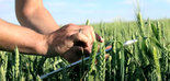 AZUD lanza una nueva línea de Gestión Digital de la agricultura