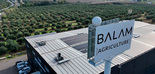BALAM Agriculture consolida su liderazgo con la familia Gálvez Hidalgo al frente