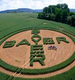 Bayer ofrece a los agricultores un herbicida contra las malas hierbas en el olivar