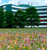 Bayer y Monsanto anuncian la firma de un acuerdo definitivo de fusión