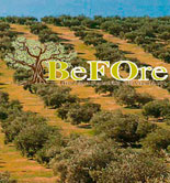BeFOre, un proyecto para incrementar la sostenibilidad de la olivicultura