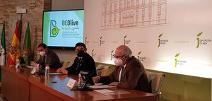 "BE_OLIVE": olivar, AOVE y salud