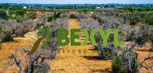 El proyecto BeXyl concluye cuatro años de investigación sobre la Xylella fastidiosa