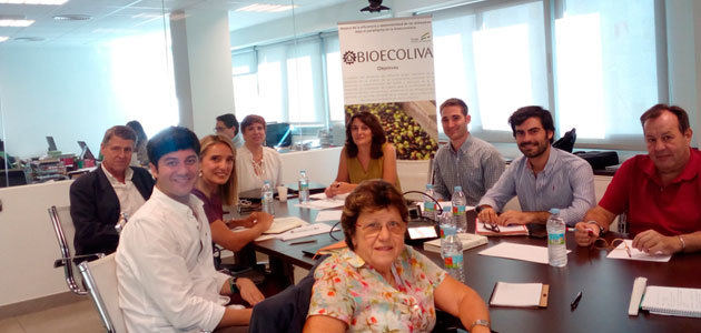 El proyecto Bioecoliva analiza la eficiencia y sostenibilidad de las cooperativas oleícolas
