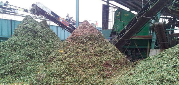 Bioeconomía circular en el olivar: el reto de pasar de la gestión de residuos a la valorización de subproductos