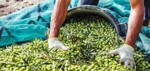 Arranca en España la Red Europea de Bioeconomía Rural