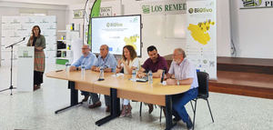 El GO Biolivo identifica cinco nuevas variedades de olivo no catalogadas en la provincia de Cádiz