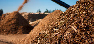 Un proyecto europeo busca transformar la biomasa infrautilizada en la agricultura en productos innovadores de alto valor