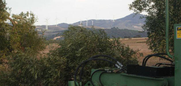 Sucellog, un proyecto para impulsar la creación de centros logísticos de biomasa en las agroindustrias