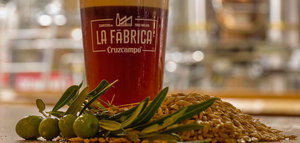 La primera cerveza con cebada cultivada en olivares, premiada por su innovación