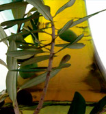 La NAOOA celebra en julio una conferencia sobre los beneficios del aceite de oliva