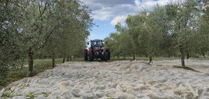 Brasil 2026: récord productivo, madurez estructural y un consumidor en transformación