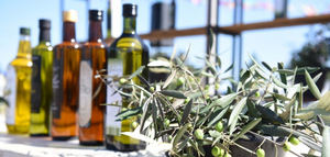 La producción olivícola continúa expandiéndose en Buenos Aires con nuevas inversiones y plantaciones