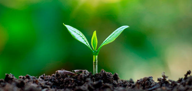 CAAE inicia su programa de formación con un curso sobre la normativa comunitaria de fertilizantes