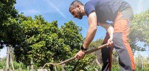 Cajamar adelanta las ayudas de la PAC para ofrecer liquidez al sector agroalimentario