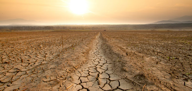 Un consorcio europeo compartirá datos científicos en abierto para afrontar el cambio climático