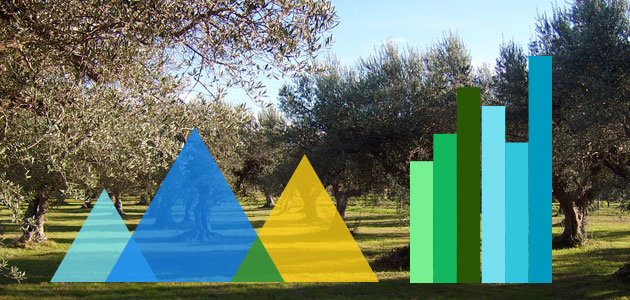 Andalucía cierra la campaña con una producción de 950.000 toneladas de aceite de oliva
