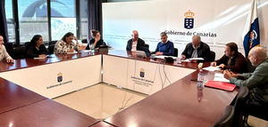 El Gobierno de Canarias estudia nuevas medidas de apoyo al sector del olivar ante la caída de la producción