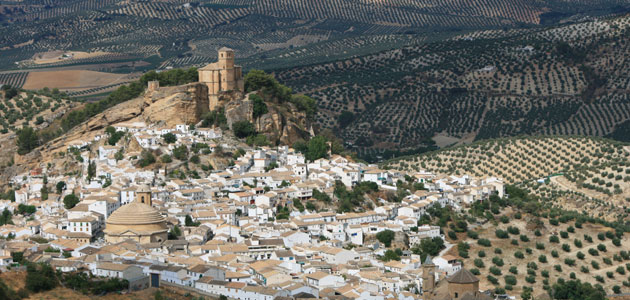 Recta final de la candidatura de Paisaje Cultural del Olivar Andaluz a Patrimonio Mundial