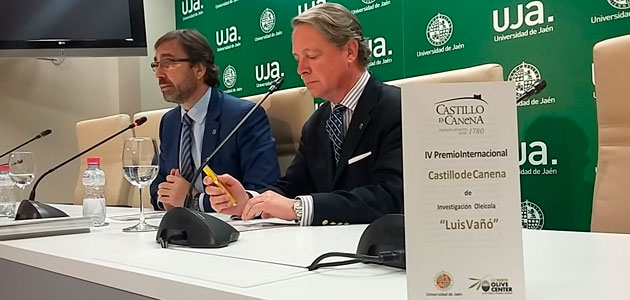 Convocado el IV Premio Internacional Castillo de Canena de Investigación Oleícola 'Luis Vañó'