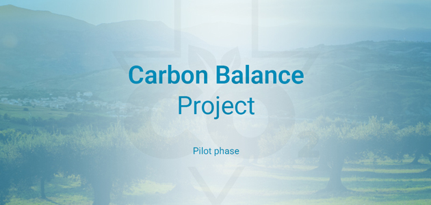 El proyecto 'Balance de Carbono' alberga datos de más de 400.000 hectáreas de olivar
