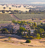 Doce meses de trabajo en el olivar