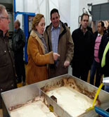 Castilla-La Mancha exime a los olivareros ecológicos del cumplimiento de comercializar el 20% de su producción para cobrar las ayudas