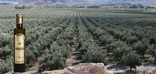 Crean una herramienta para mejorar la gestión del cultivo del olivar