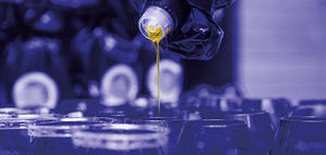 La UNIA contribuye a la profesionalización del sector oleícola con su curso de cata de aceite de oliva virgen