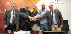 La DOP Baena colaborará con la Cátedra de Gastronomía Mediterránea de la UCO