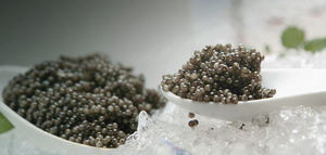 AOVE, caviar y esturión se alían en una experiencia gastronómica irrepetible en AMA La Cocina de Amarga y Pica