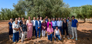 Cataluña aprueba el primer censo de olivos monumentales