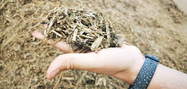 Proyecto AGROVAL: una segunda vida a los residuos vegetales del sector del olivar