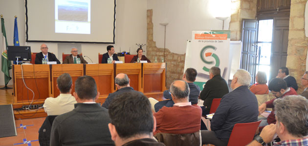 La reconversión del olivar tradicional jiennense, a debate en una jornada