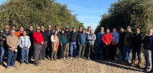 Productores chilenos y argentinos intercambian experiencias en torno a la elaboración de aceite de oliva